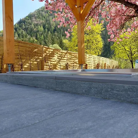 Daire Hofpower's Mountain Feeling *