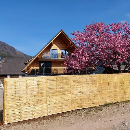 Hofpower's Mountain Feeling Daire