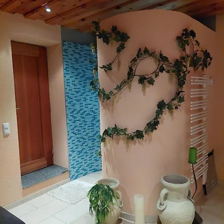 Daire Hofpower's Mountain Feeling Hinterstoder