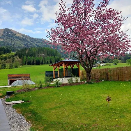 Hofpower's Mountain Feeling Apartment